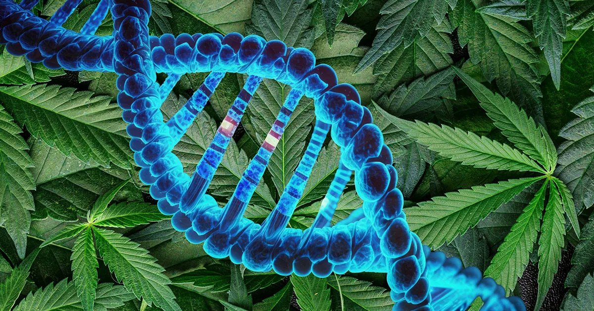 High quality composite image with clean visuals and no text, suitable for general science or medical-related news articles.