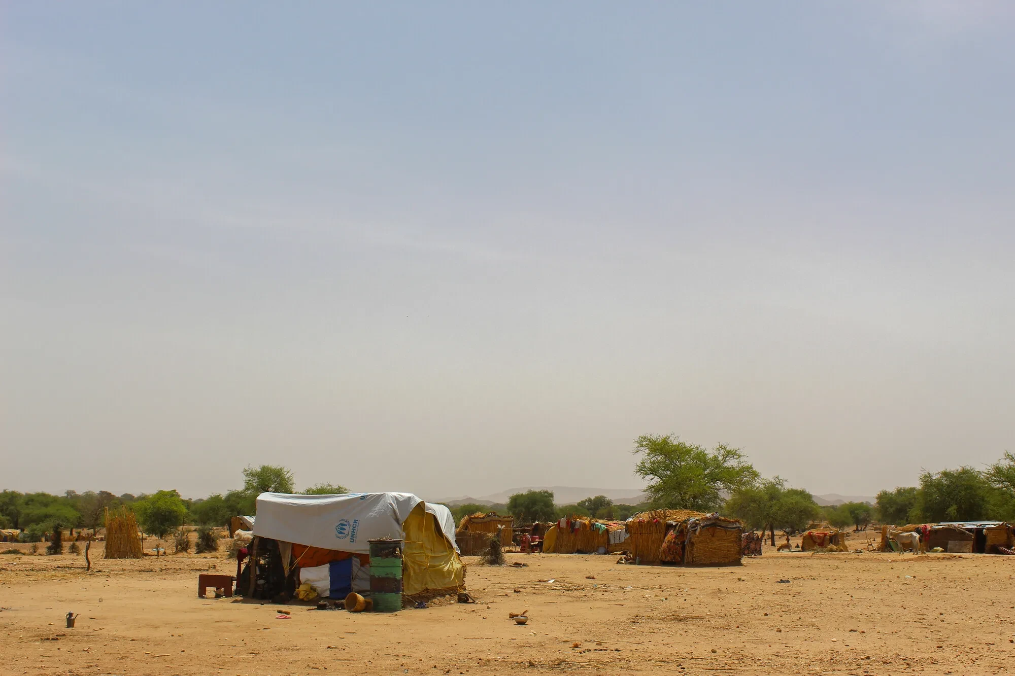 A group of displaced Sudanese women and children arriving at a refugee camp in Chad. The image highlights the vulnerability of new arrivals and the need for humanitarian aid.