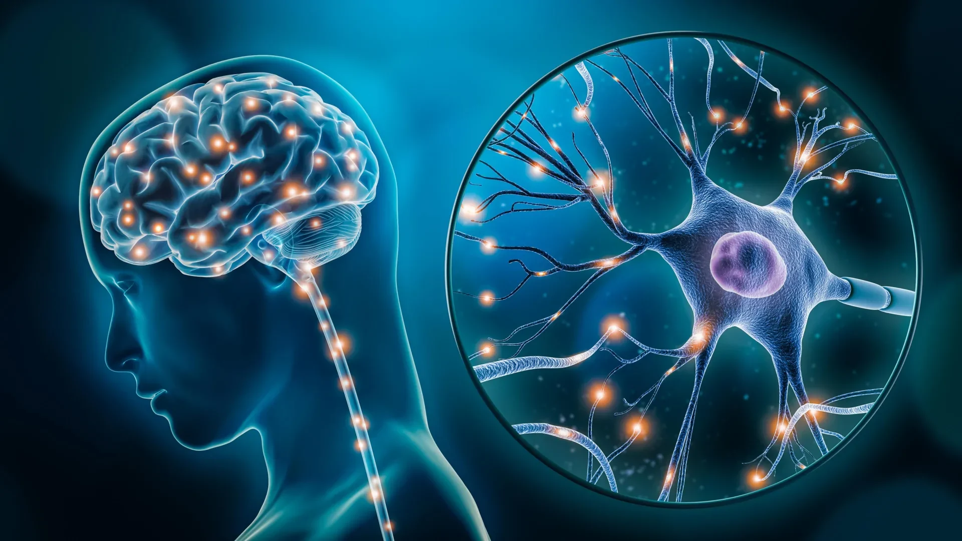High-quality close-up image of neuron activity, visually representing neural communication in the human brain, relevant for depression-related studies.