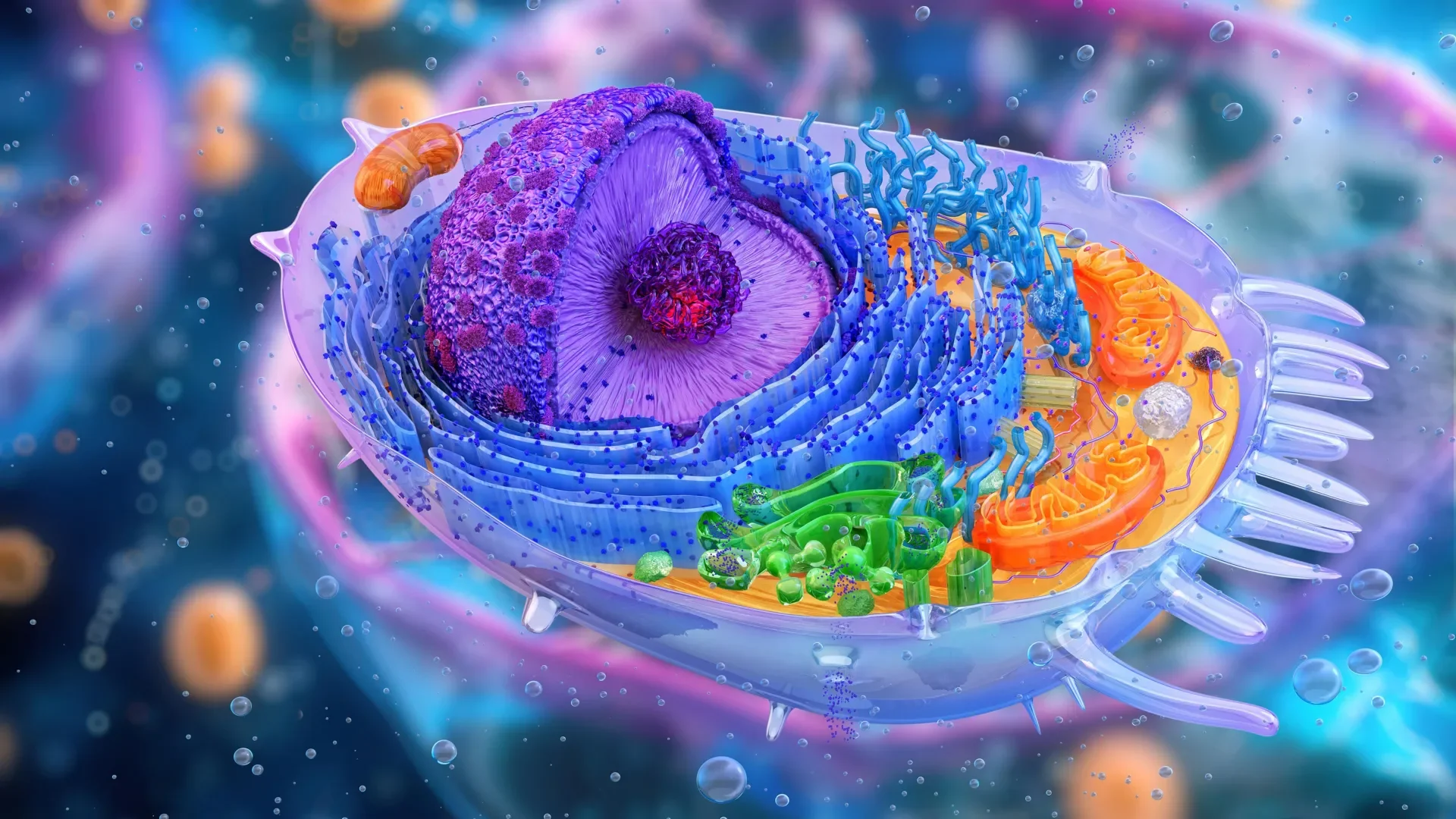 Detailed illustration of human cell structure, emphasizing complexity of cellular environments relevant to AI analysis.