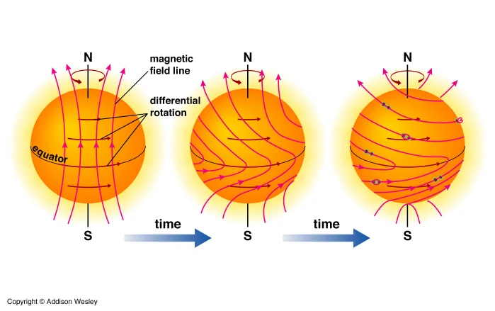 Illustration showing stages of the solar cycle and its impact on solar activity, providing context for polar solar observations.