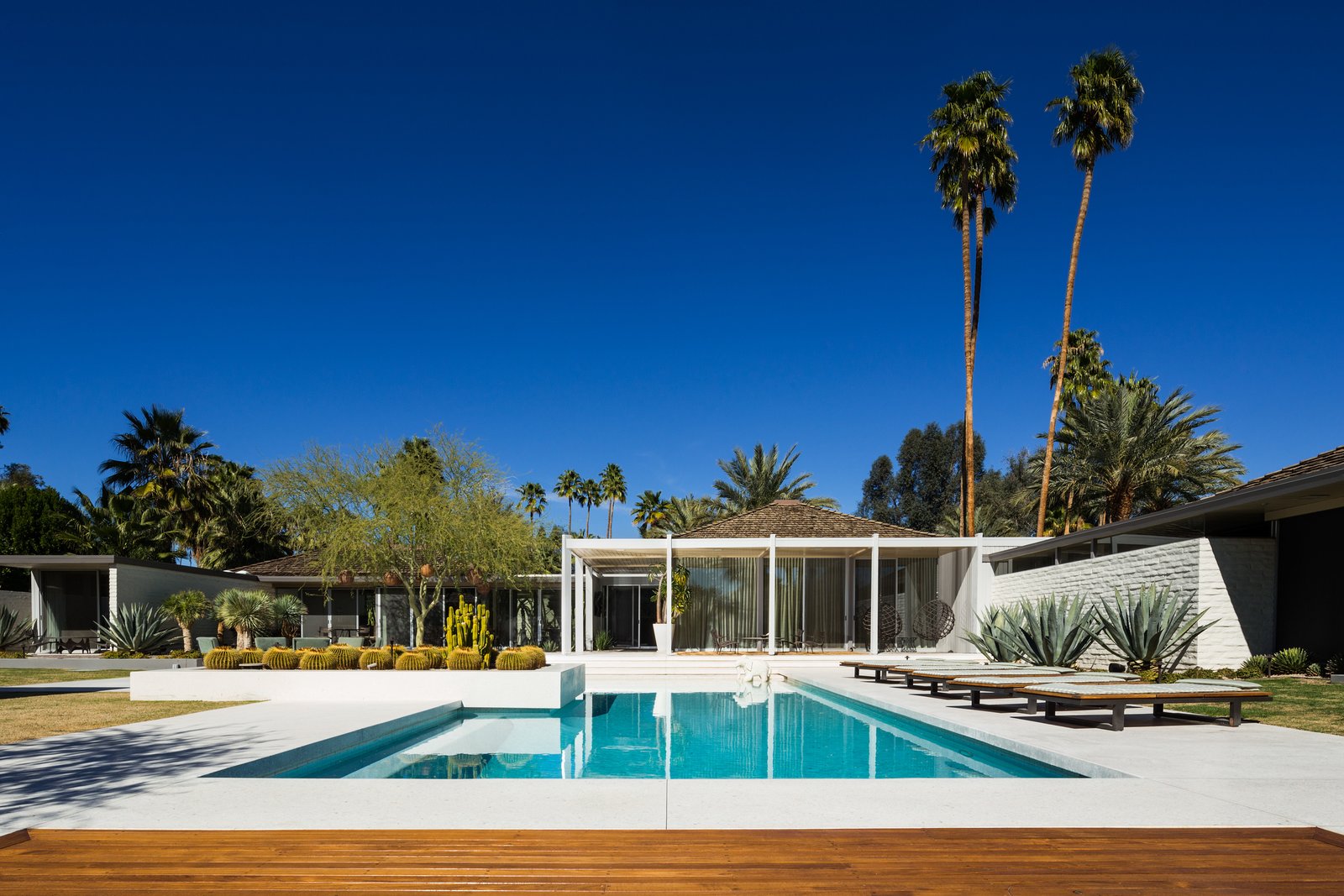 Midcentury modern back yard