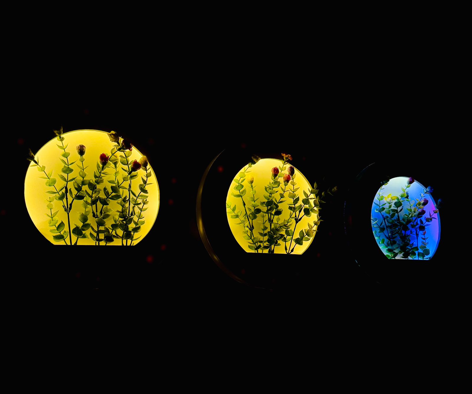 ফ্লোরাল গ্লো ওয়াল ফ্রেম