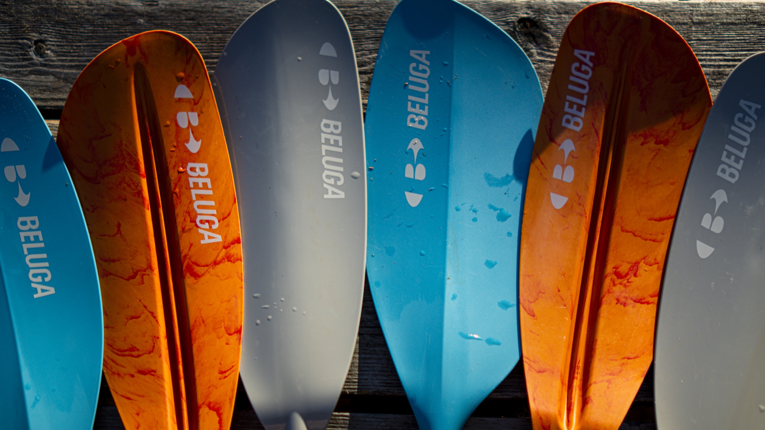 Kayak Distribution 3 — Funnydayz