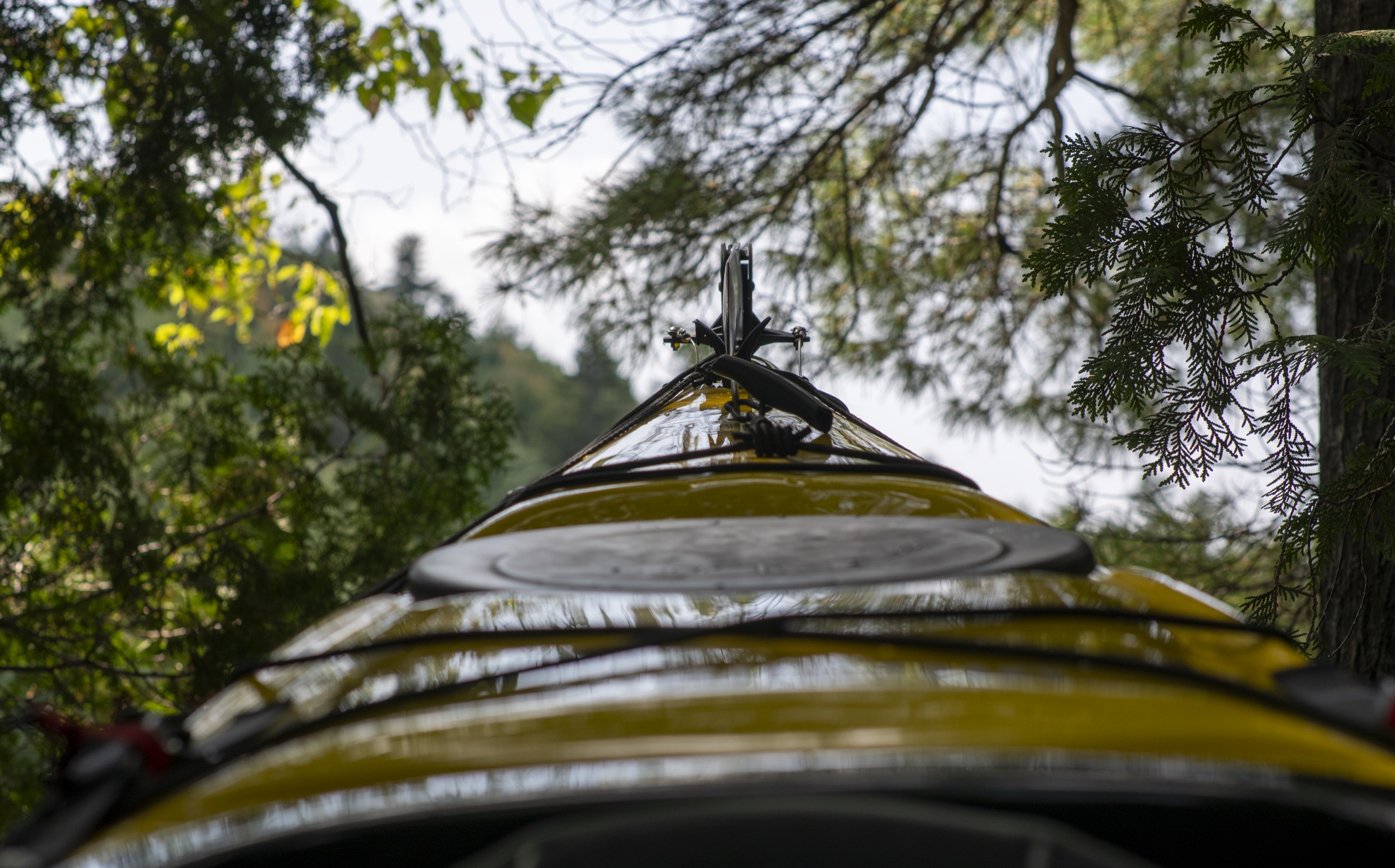 Kayak Distribution 5 — Funnydayz