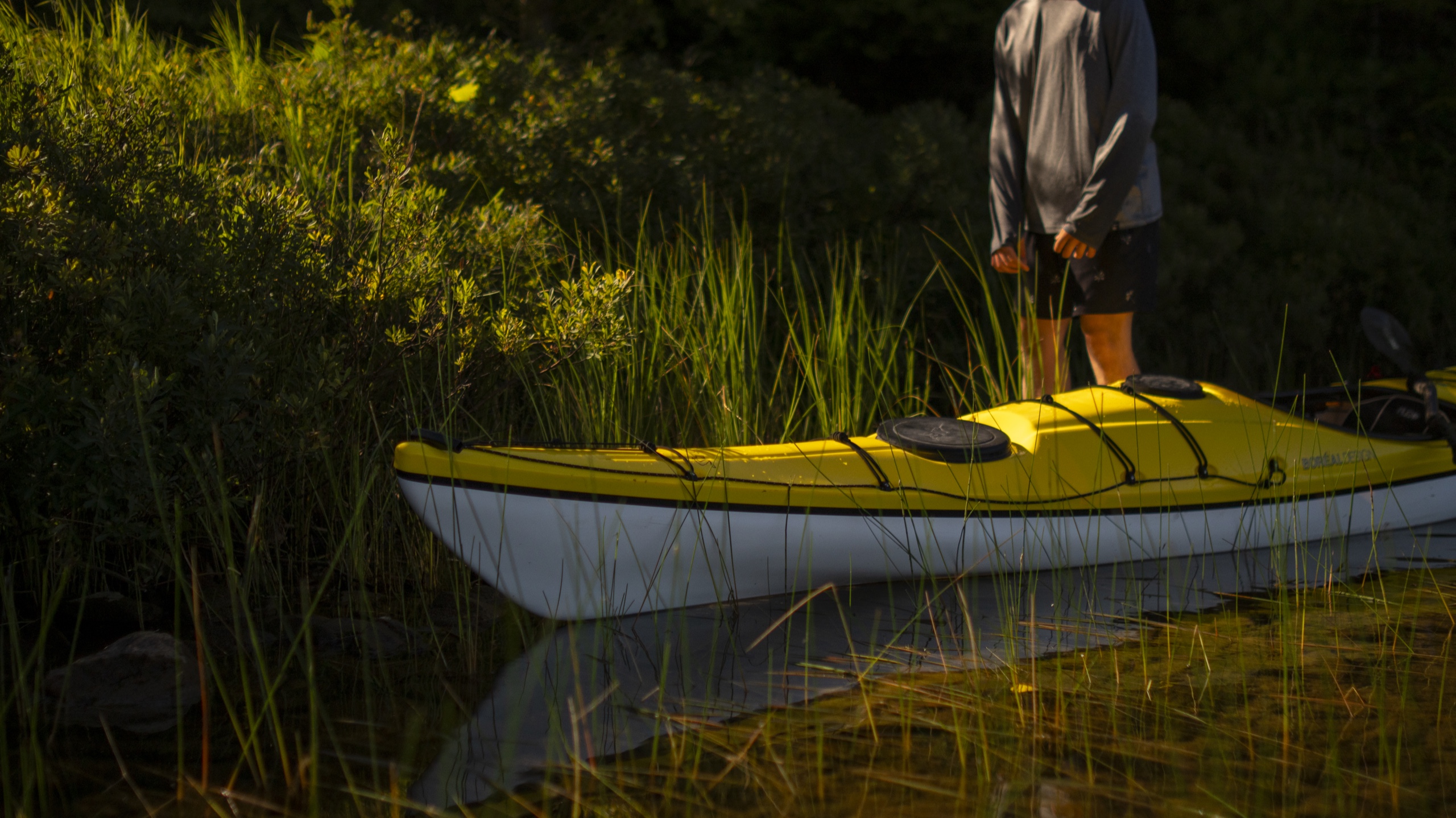 Kayak Distribution 18 — Funnydayz