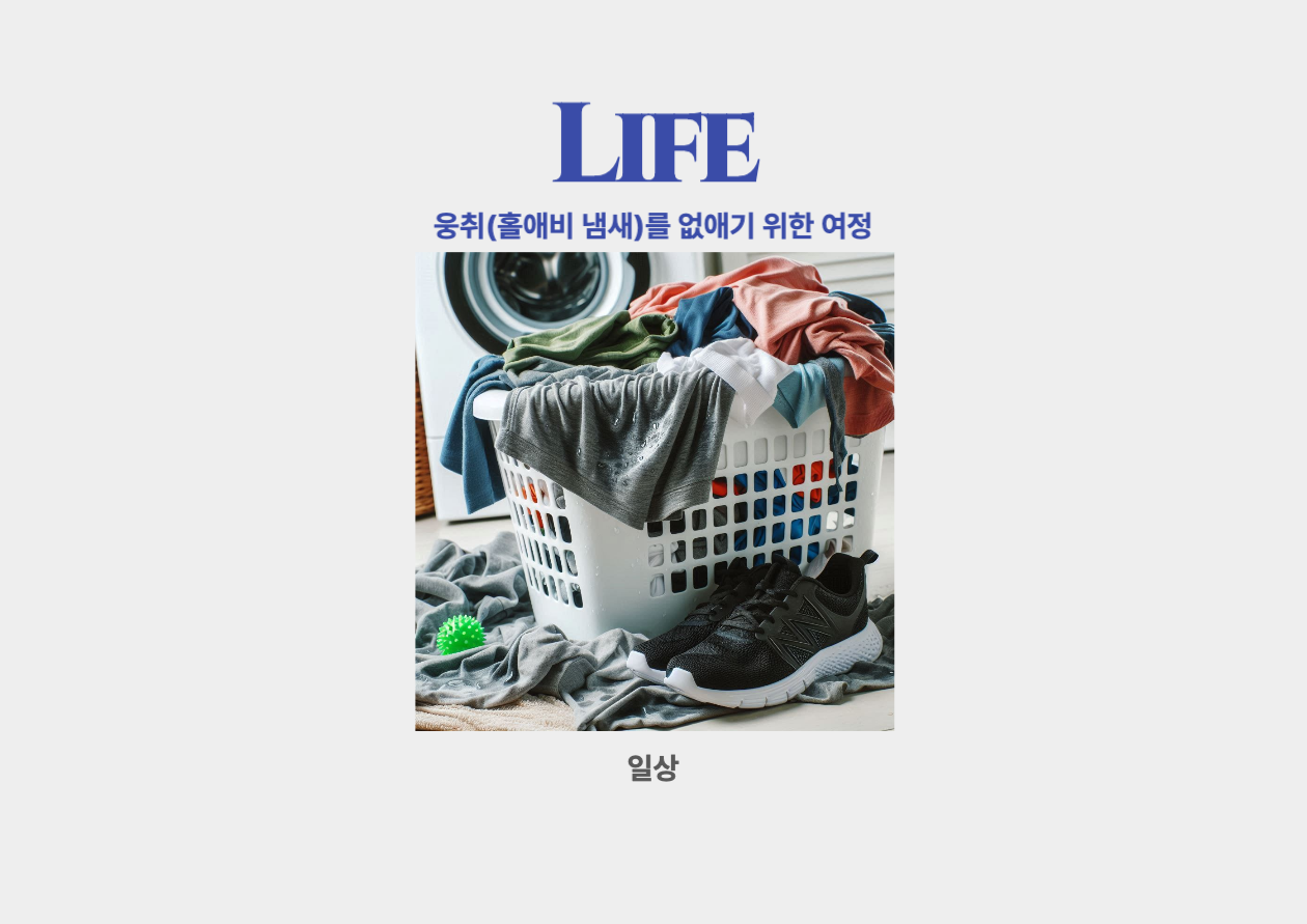 웅취(홀애비 냄새)를 없애기 위한 여정