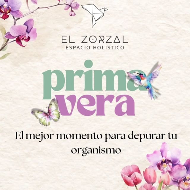El Zorzal Espacio Holístico