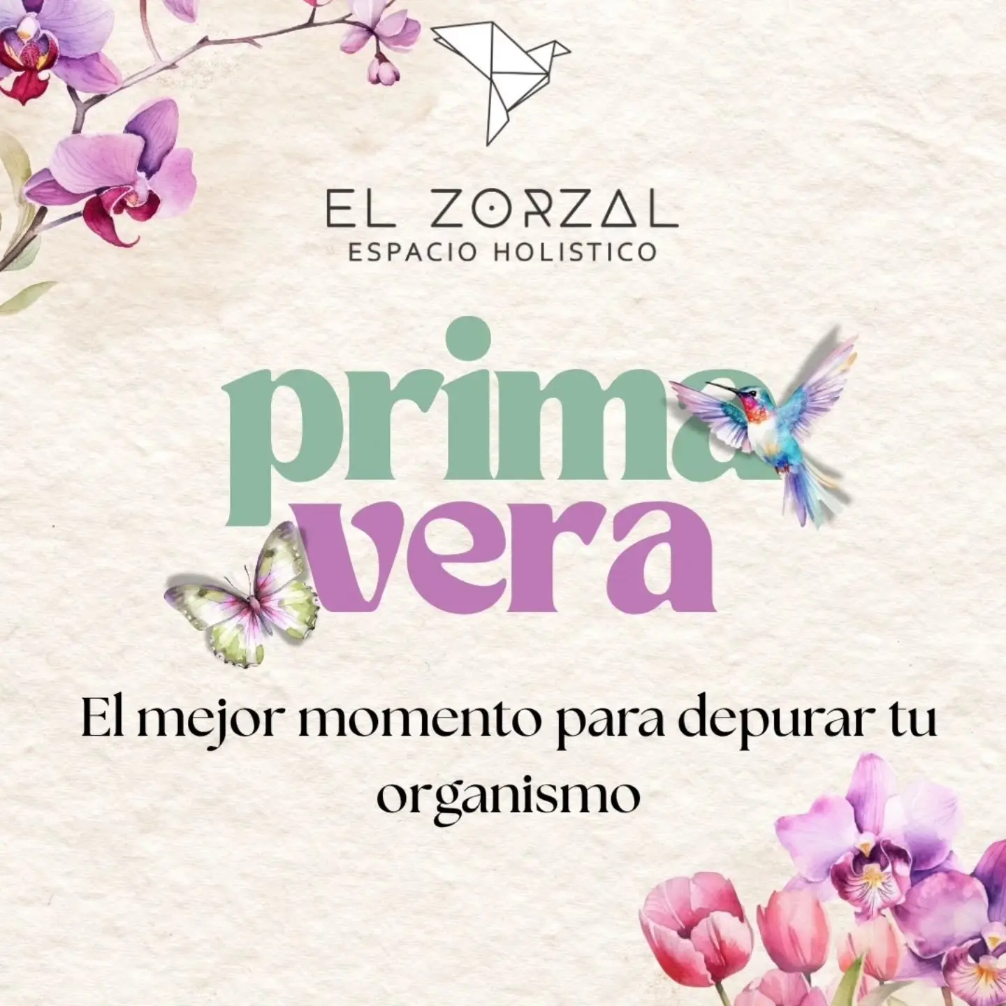 El Zorzal Espacio Holístico