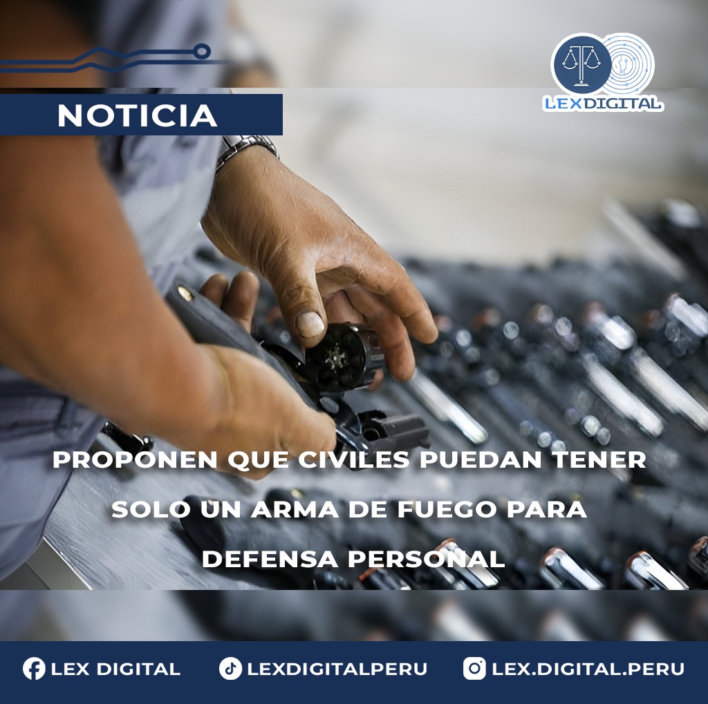 Proponen limitar a un arma de fuego por persona para defensa personal