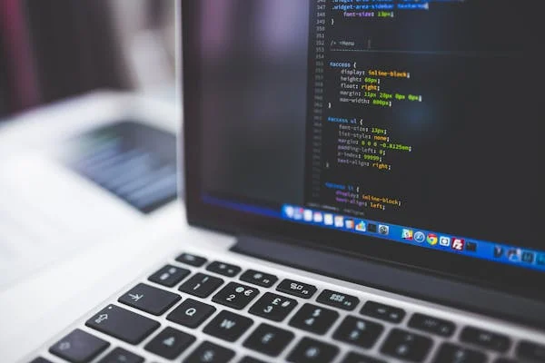 Diseño Web Profesional