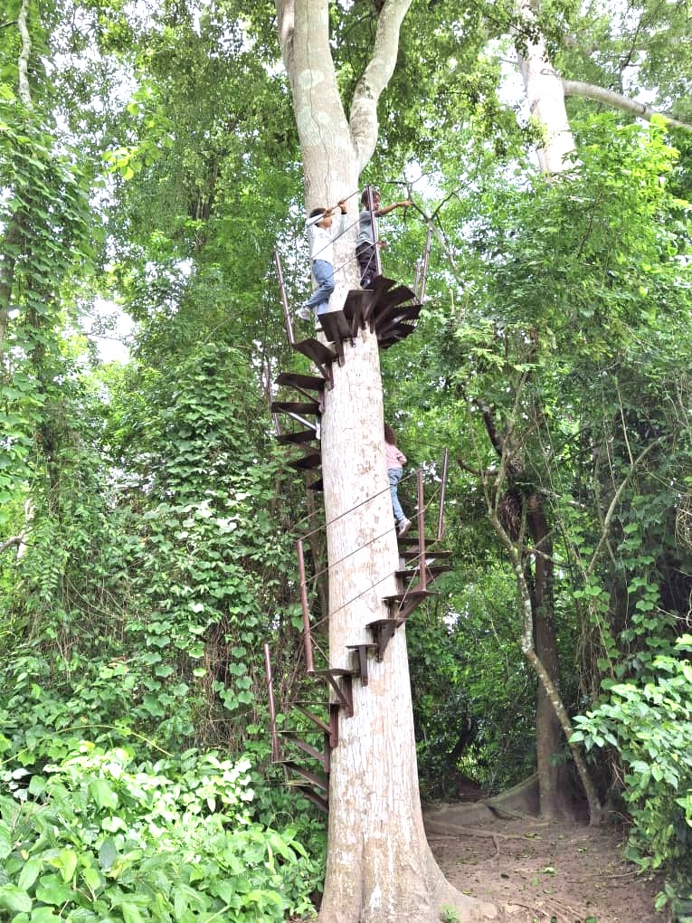 Vue naturelle du Refuge du Bandama en Côte d'Ivoire