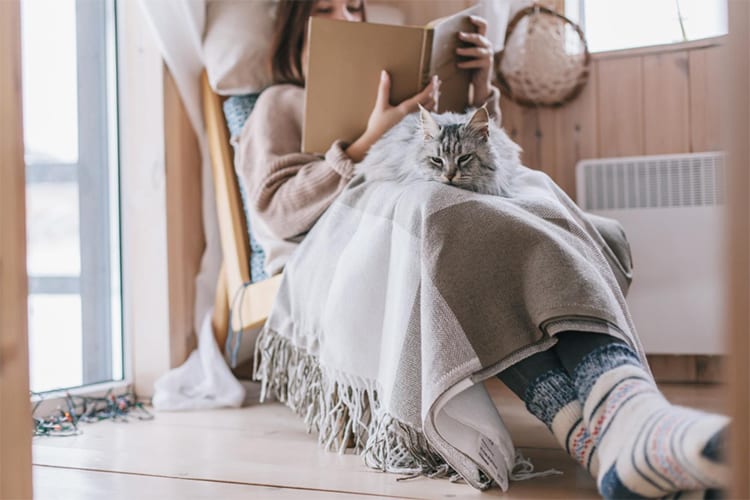 Eine Frau sitzt gemütlich auf einem Sessel in einem Holzraum und liest ein Buch. Sie ist mit einer grauen Decke zugedeckt, auf der eine pelzige graue Katze liegt. Die Frau trägt warme Wintersocken. Neben ihr ist ein Fenster, durch das Tageslicht in den Raum fällt.