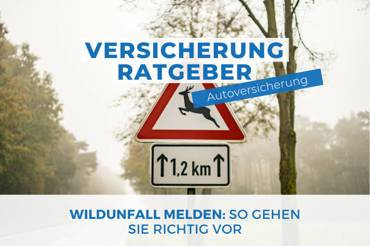 Ein Verkehrszeichen, das vor Wildwechsel auf einer Strecke von 1,2 km warnt, steht am Straßenrand in einer ländlichen, nebligen Umgebung mit Bäumen im Hintergrund. Darüber liegt der Text "Versicherung Ratgeber" und "Autoversicherung" in blauen Kästchen. Darunter steht in blauer Schrift "Wildunfall melden: So gehen Sie richtig vor".