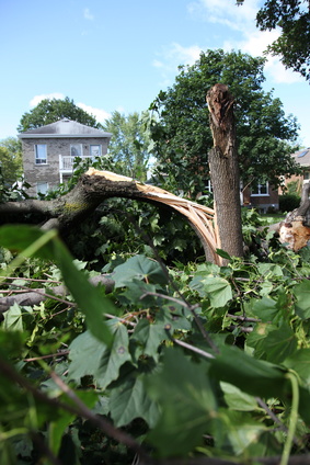 Day after a heavy summer storm, Kanada