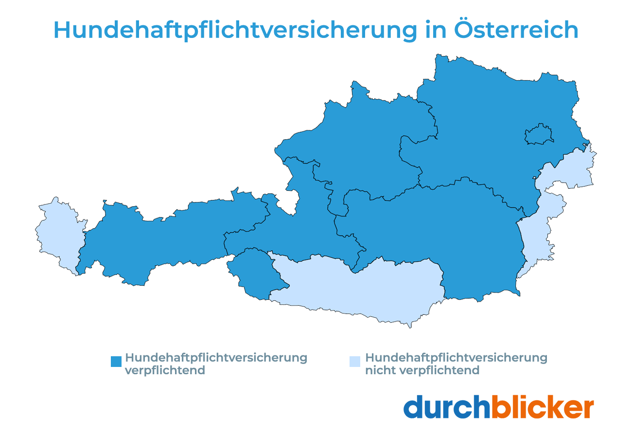 ᐅ Hundeversicherung Vergleich Österreich 2025 | durchblicker.at
