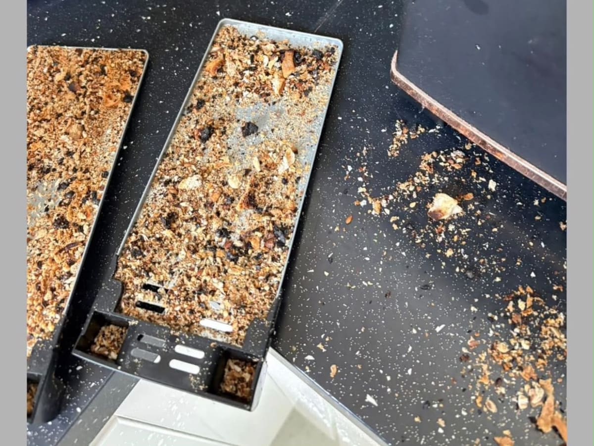 Kitchen appliance crumbs ready for detailed cleaning