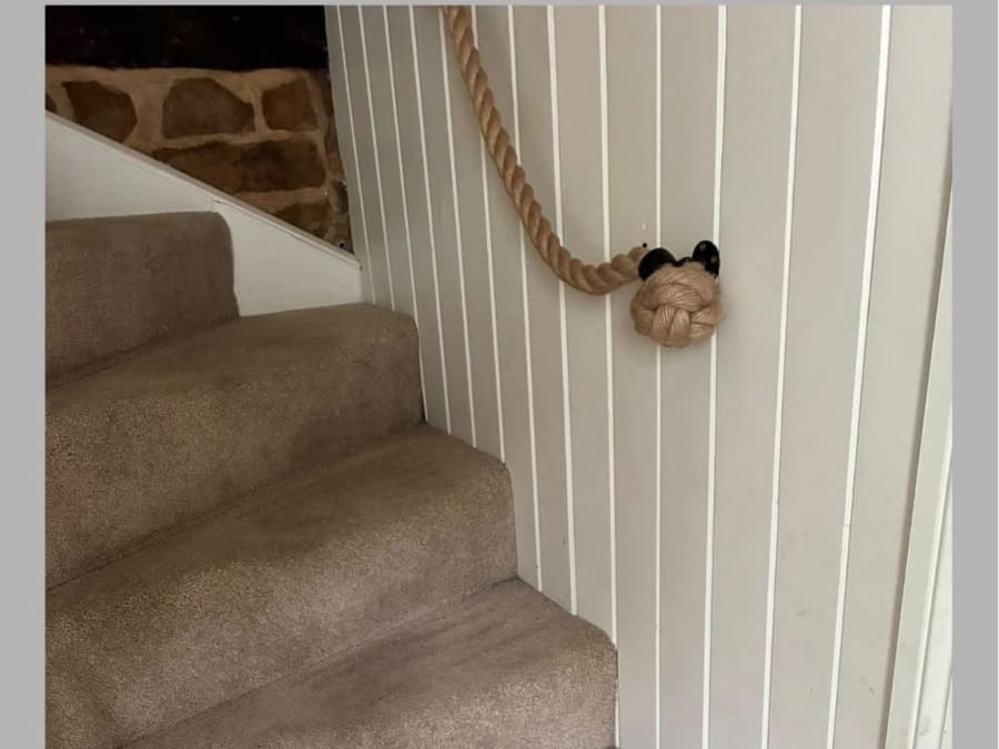 Clean carpeted staircase with rope handrail