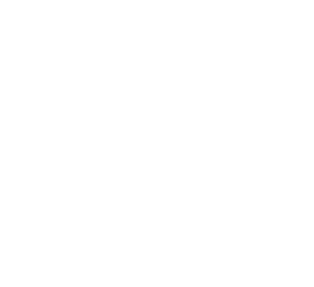 Platform icon