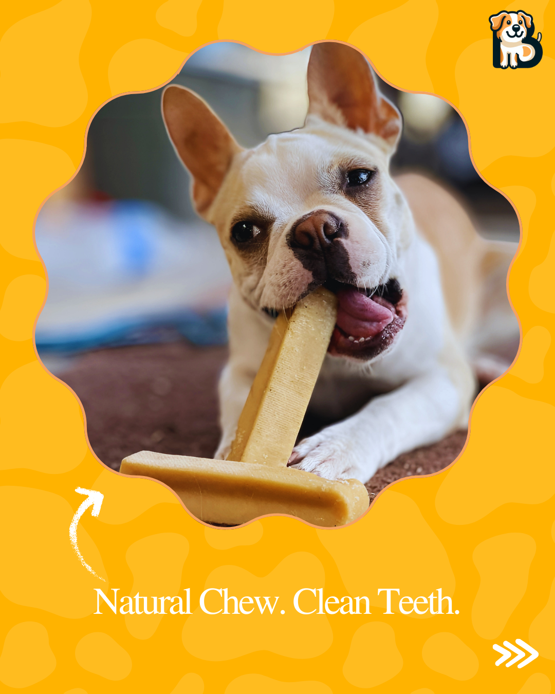 Yak-Yak Himalayan Dental Chews