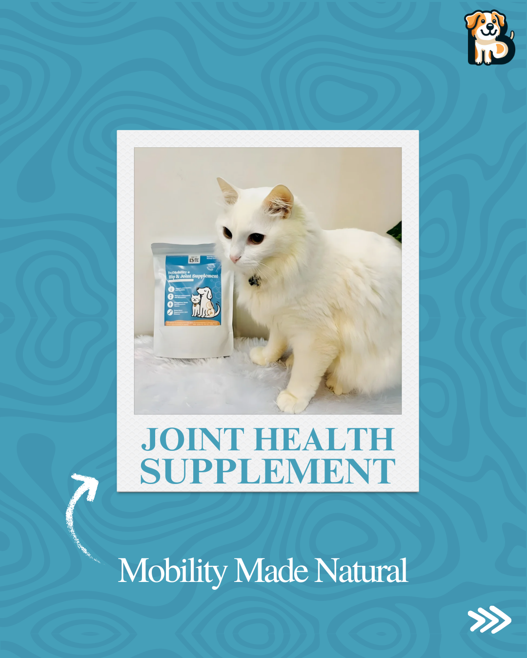 Hip & Joint Care Supplement