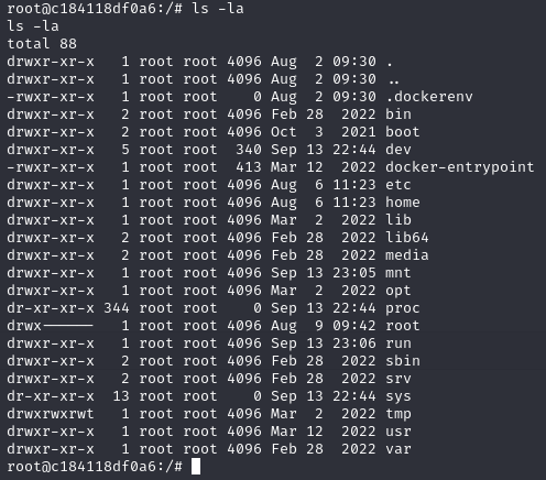 Docker Container Confirmed