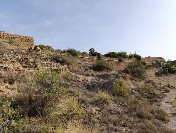 Property: Finca rústica en Arico