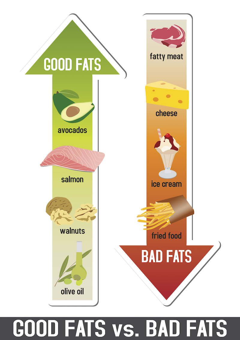 good fats versus bad fats