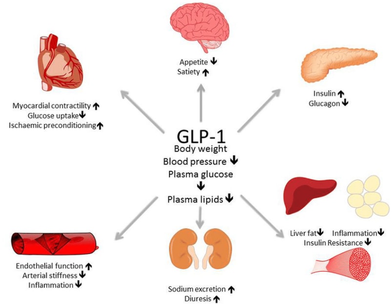 mechanism of action chart