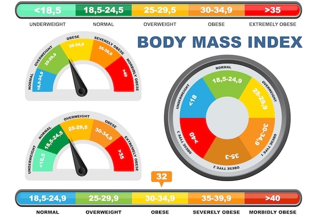 A graphic BMI ranges from normal to morbidly obese.