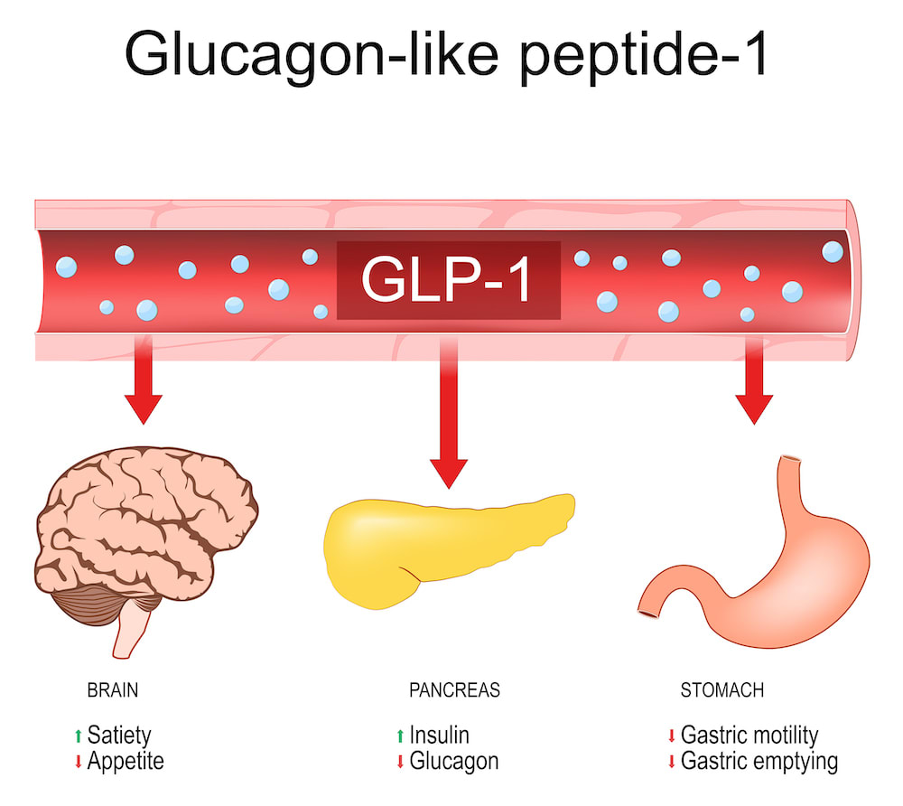 graphic of glucagon-like peptide 1 and organs