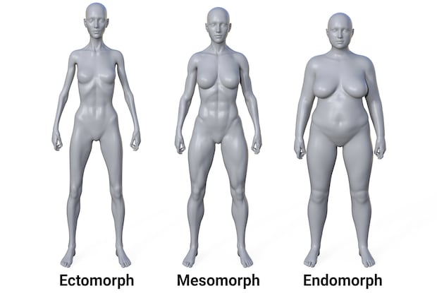 A graphic of the three different body types, along with gray animated models.