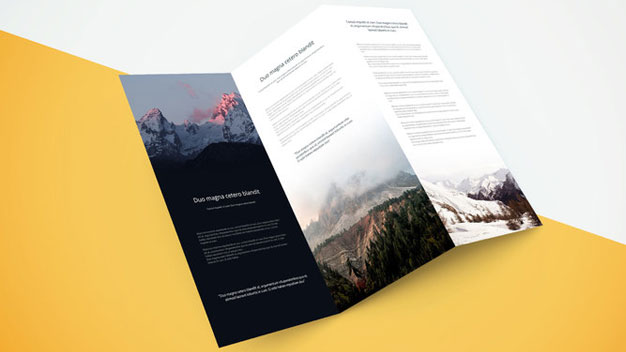 Tri Fold Brochure Showcase Mockup