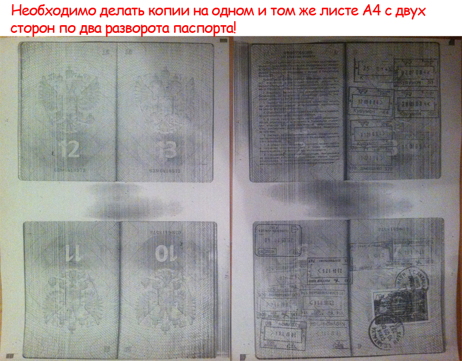 Как сделать копию. Ксерокопия всех страниц паспорта. Копия паспорта всех страниц. Копия паспорта наиодном листе. Копия паспорта для визы.