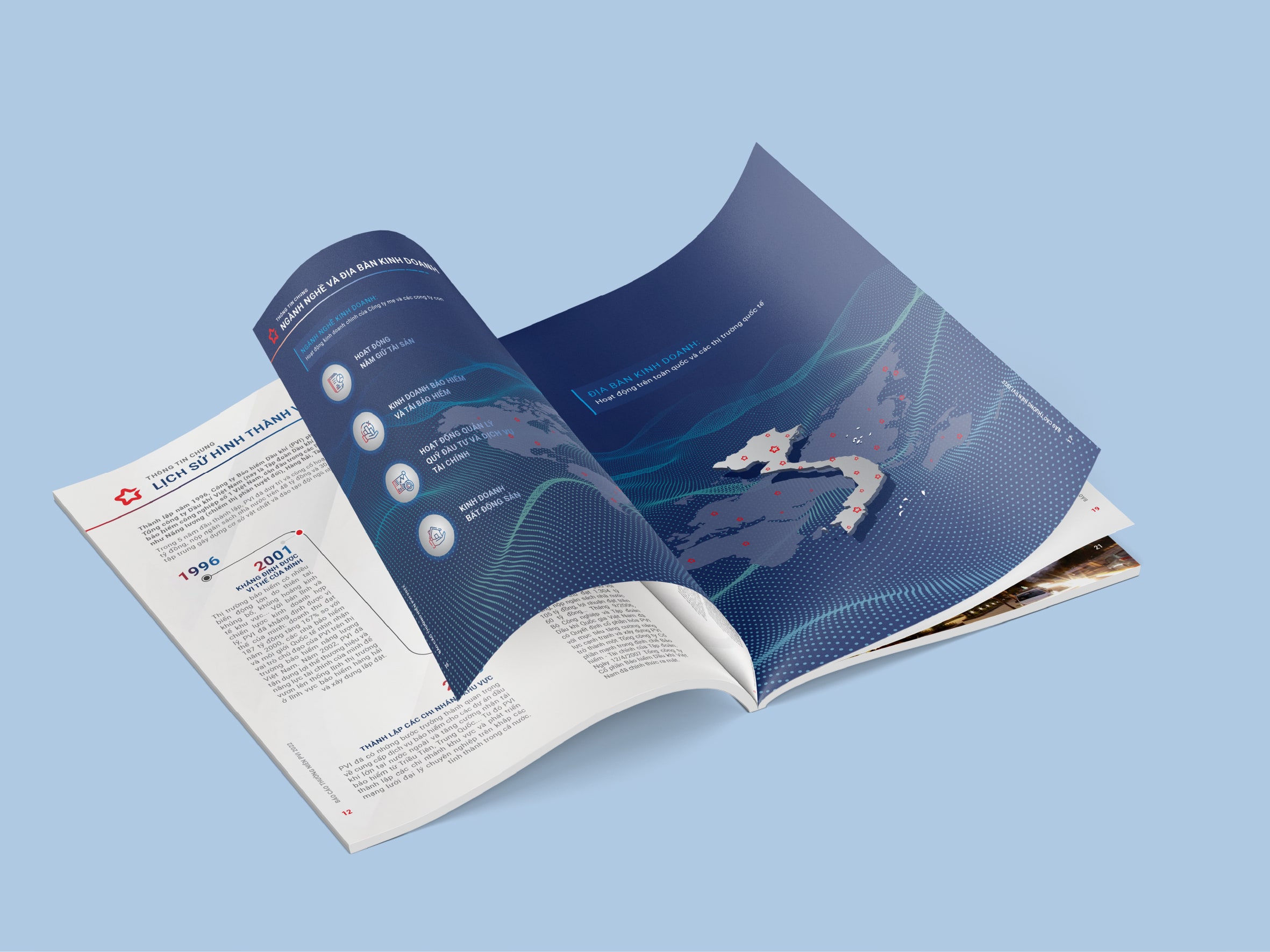 PVI Annual Report 2022
