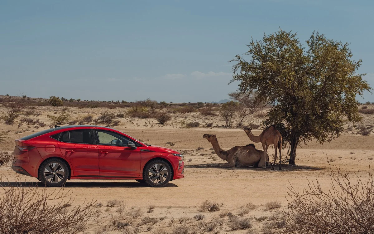 Škoda Enyaq: test u ekstremnim uslovima