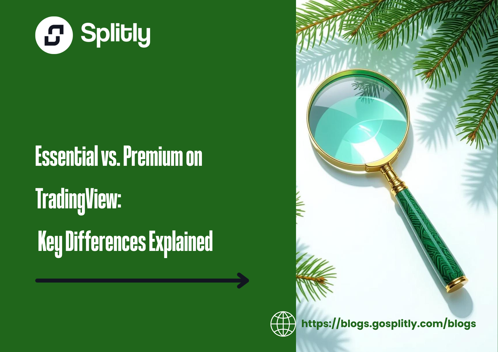 TradingView Essential vs. Premium: Key Differences Explained