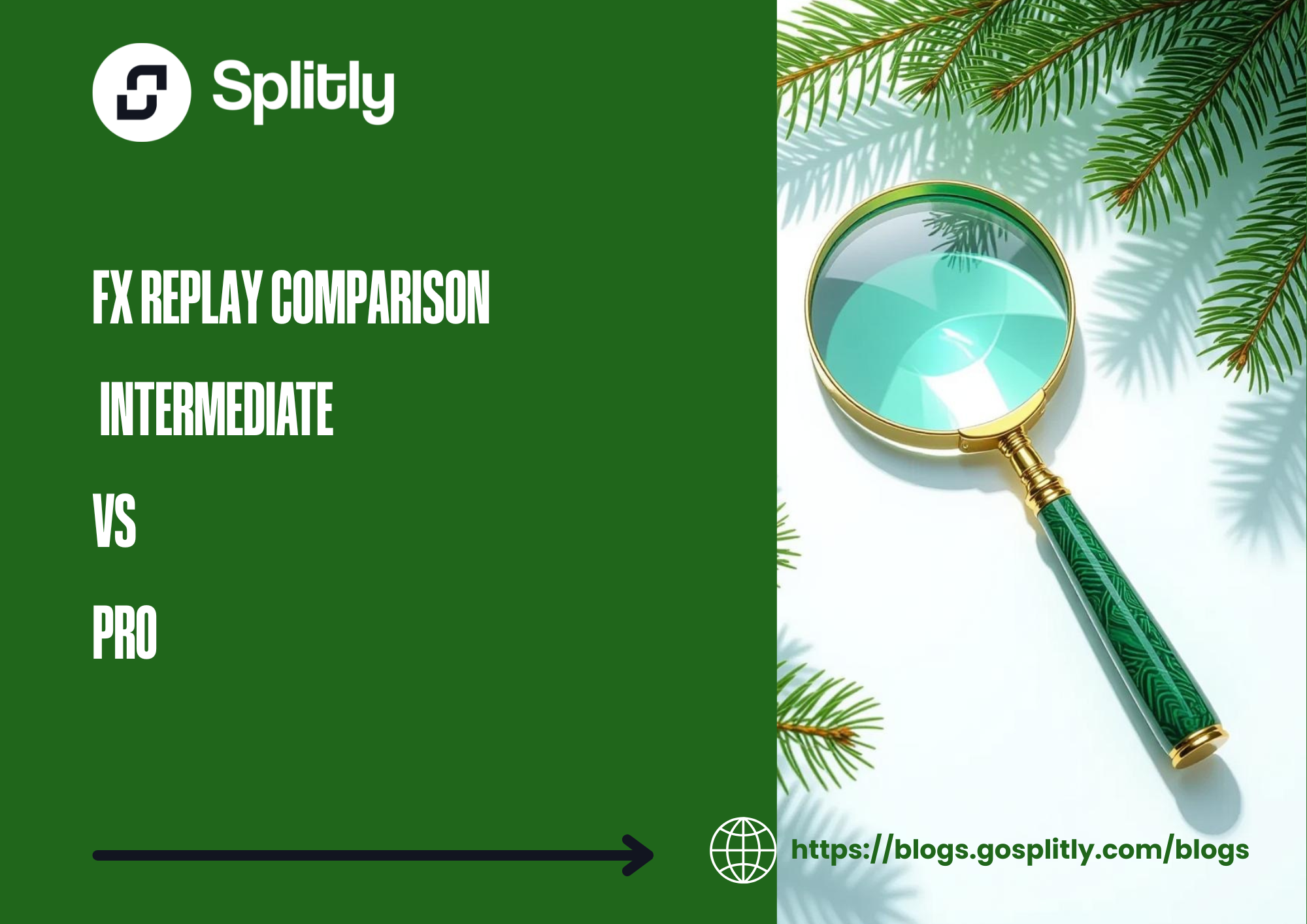 FX Replay: Intermediate vs. Pro;Which Plan Is Actually Worth Your Money?