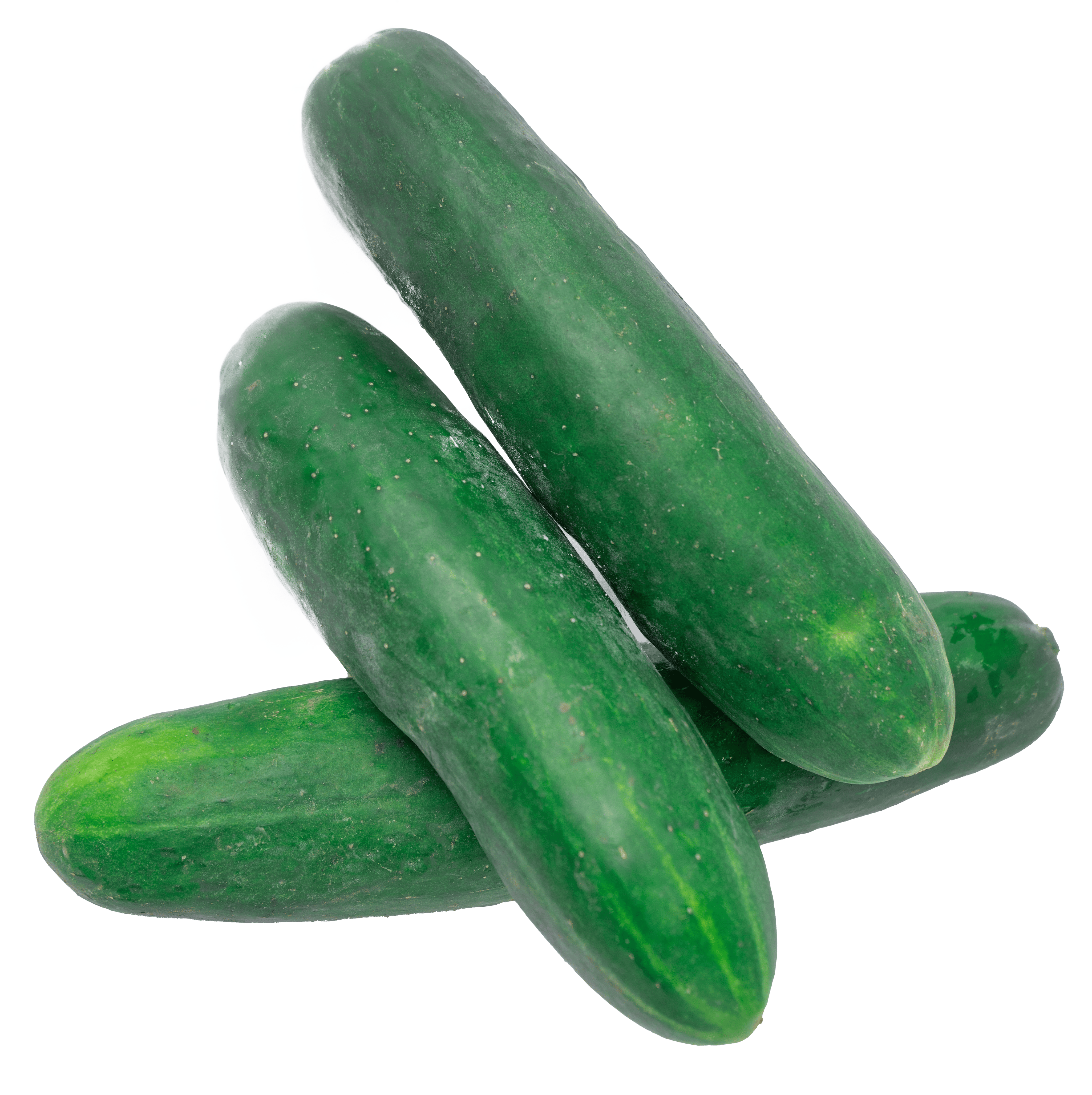 Cucumber