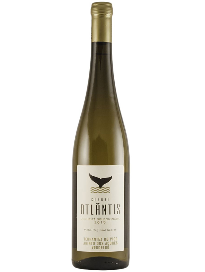 Curral Atlantis Terrantez Branco