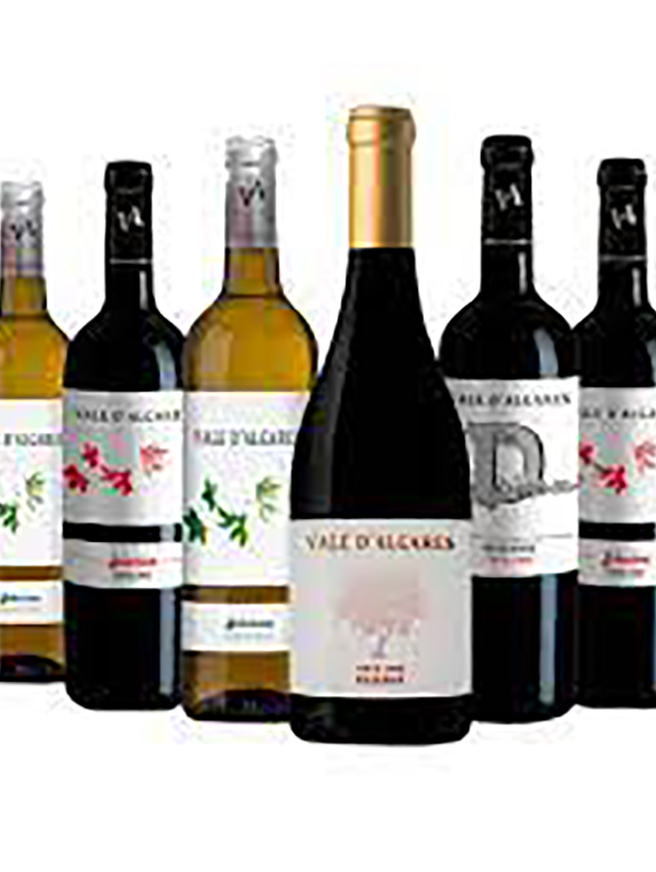 Monocastas Vale D'Algares - 1 Merlot 2009 + 1 Verdelho + 1 Pinot Gris + 1 Touriga Nacional + 1 Syrah + 1 Merlot 2015