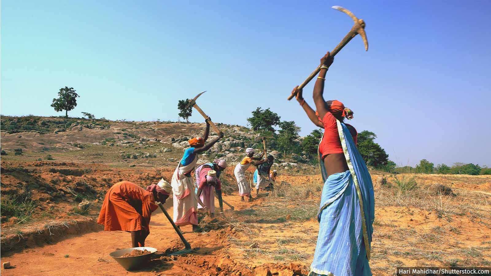 आजीविका और रोजगार