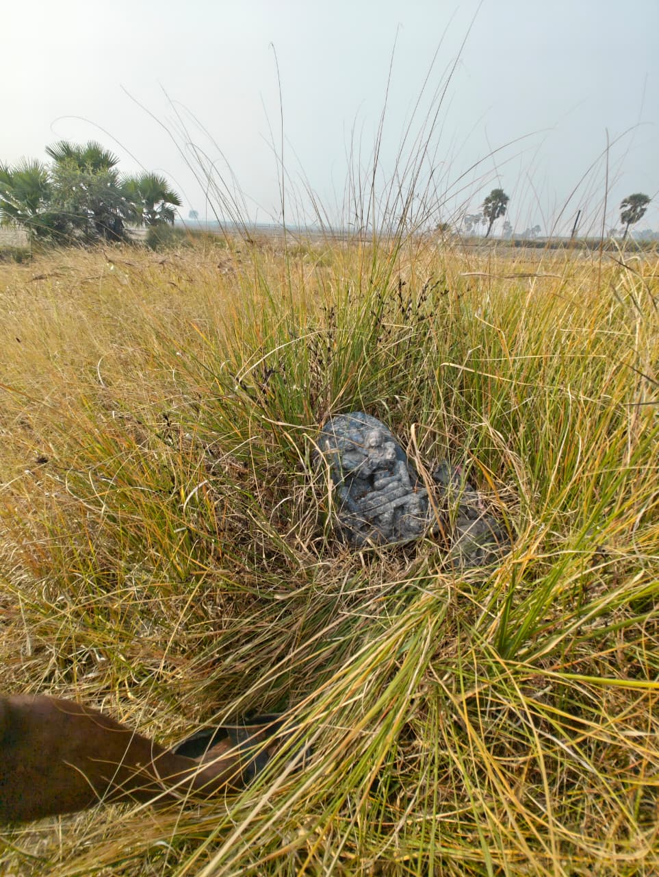 सिद्धमणि थान