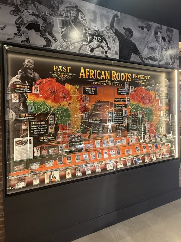 African Roots wall at Mo Bamba Cards & Collectibles