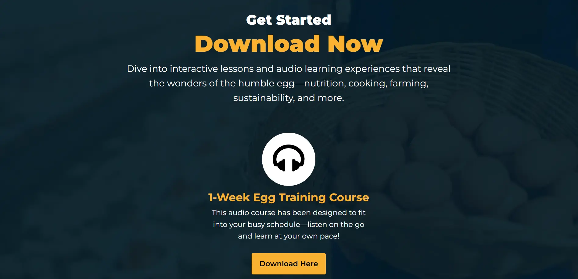 AI-Generated Egg Courses