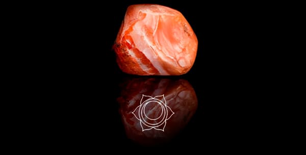 Pulsera con
Cornalina – Chakra Sacro – Piedra energética NEO MEN