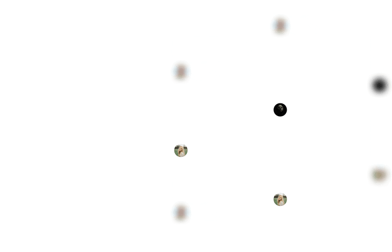 Demeta detail 4