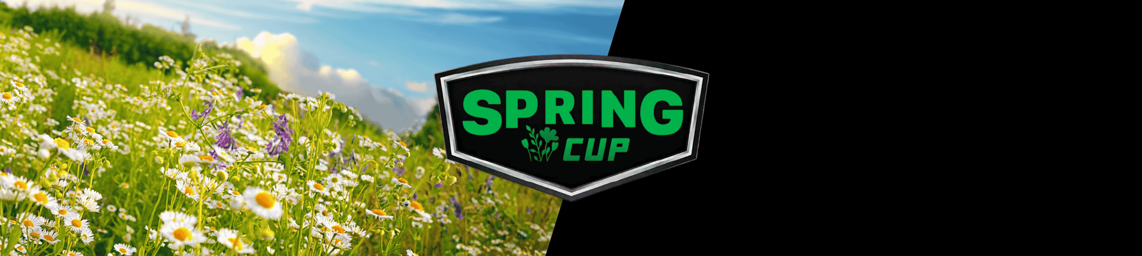 Dusk Till Dawn | Dusk Till Dawn Spring Cup