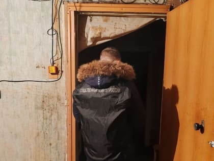 В Калужской области внук с бабушкой отравились угарным газом